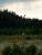 DSCF1141